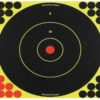 Birchwood Casey Shoot-N-C 12 Inch Round Bullseye 5 Targets 120 Pasters -Leupold Store 649930 21948.1673466402